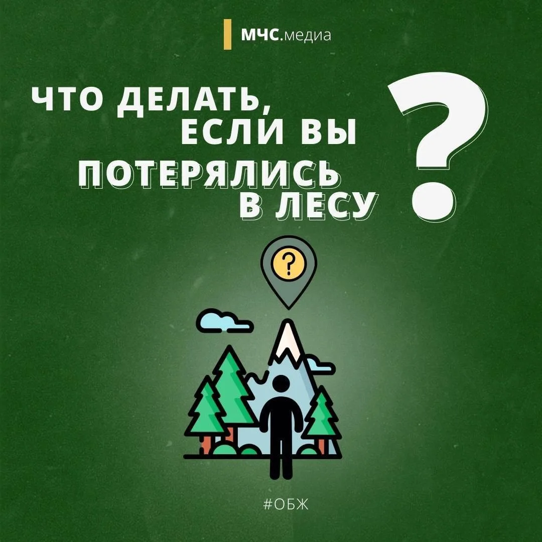 🌳В лес попасть и не пропасть