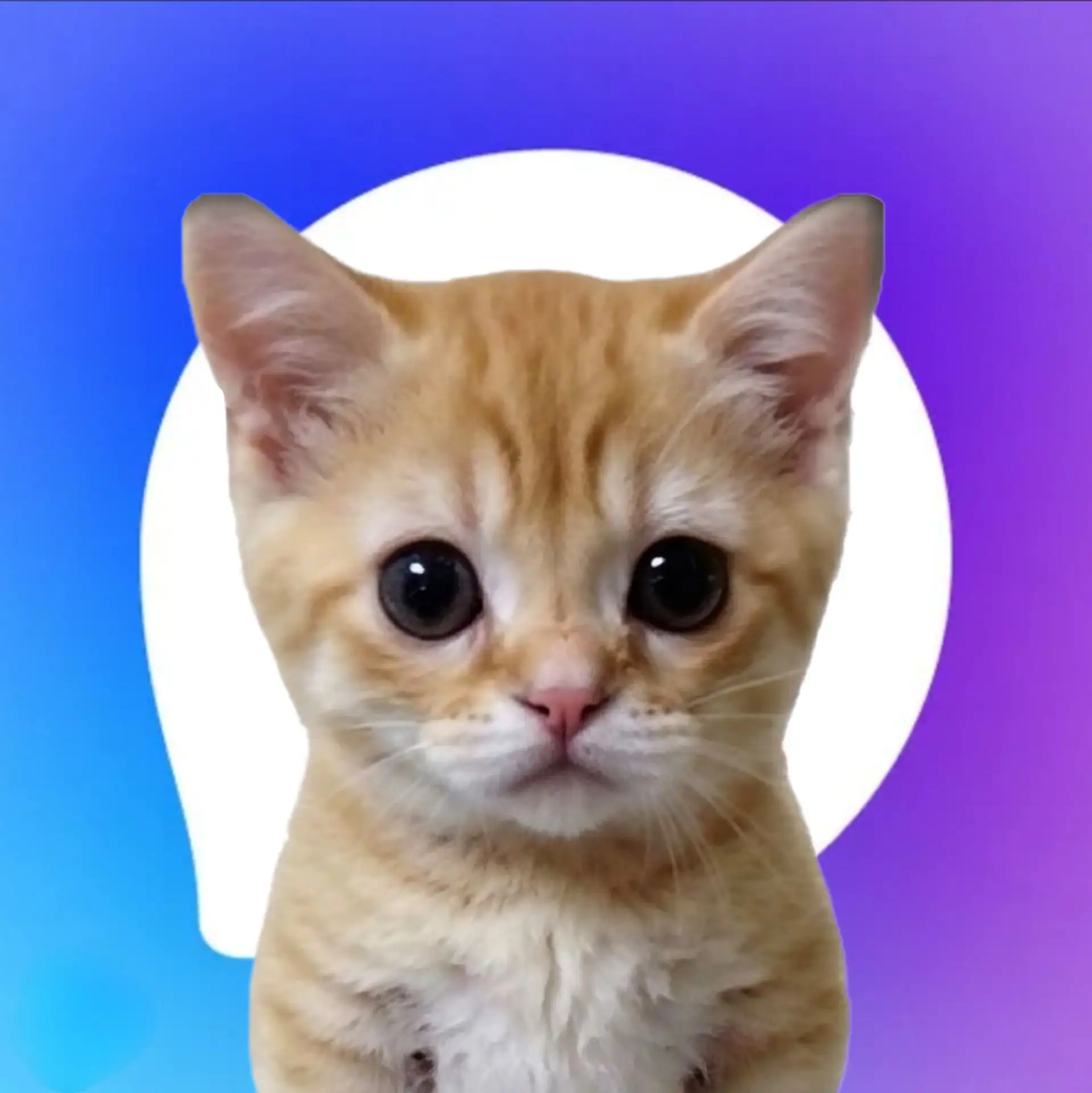 Поясняю на котятах теперь в МАХ!