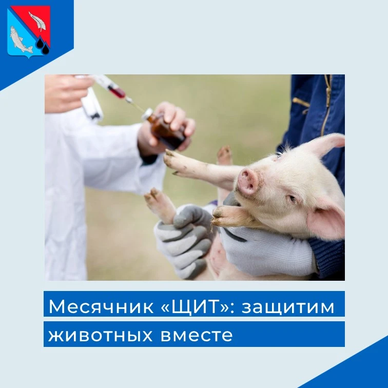 🐄🐔🐶 ВНИМАНИЕ, ВЛАДЕЛЬЦЫ ЖИВОТНЫХ! 🐱🐷  Напоминаем: здоровье ваших животных и ваша личная безопасность
