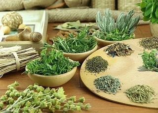 Улучшаем память  … с помощью специй и трав.  🌿  Петрушка, а точнее вещества, содержащиеся в ней, фор