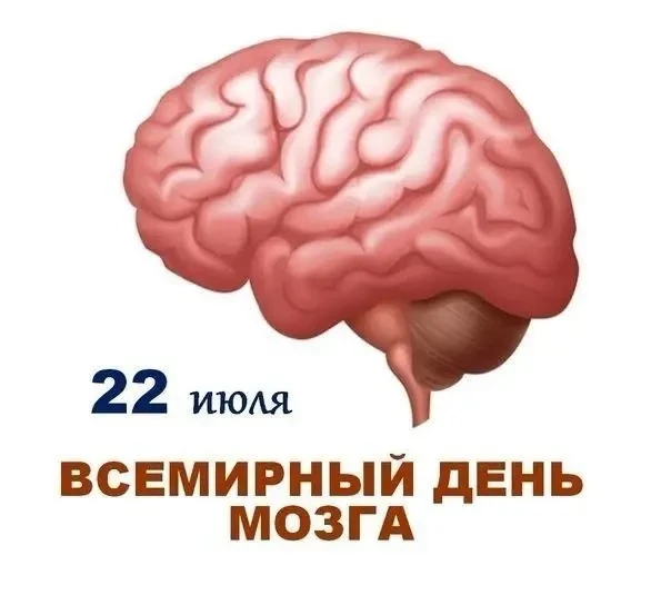 ✅ 22 июля отмечают Всемирный день мозга. 

Не секрет, что головной мозг является главным органом цен