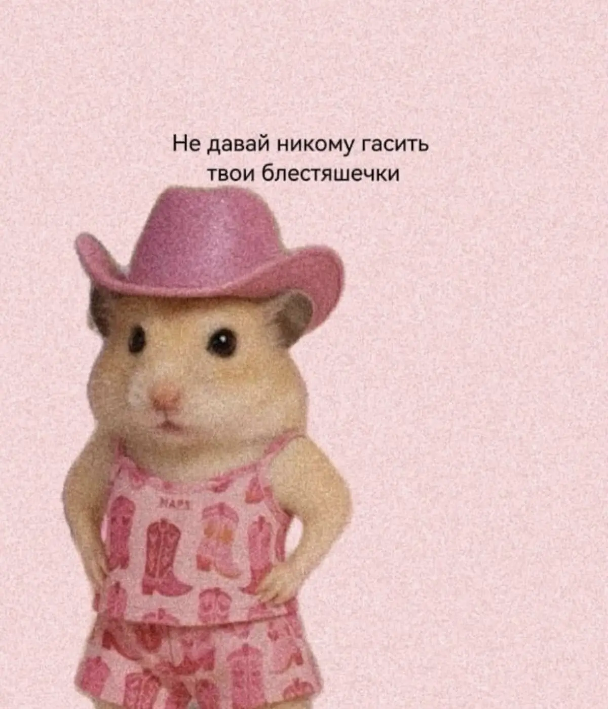 Мы сегодня блестим или не блестим?