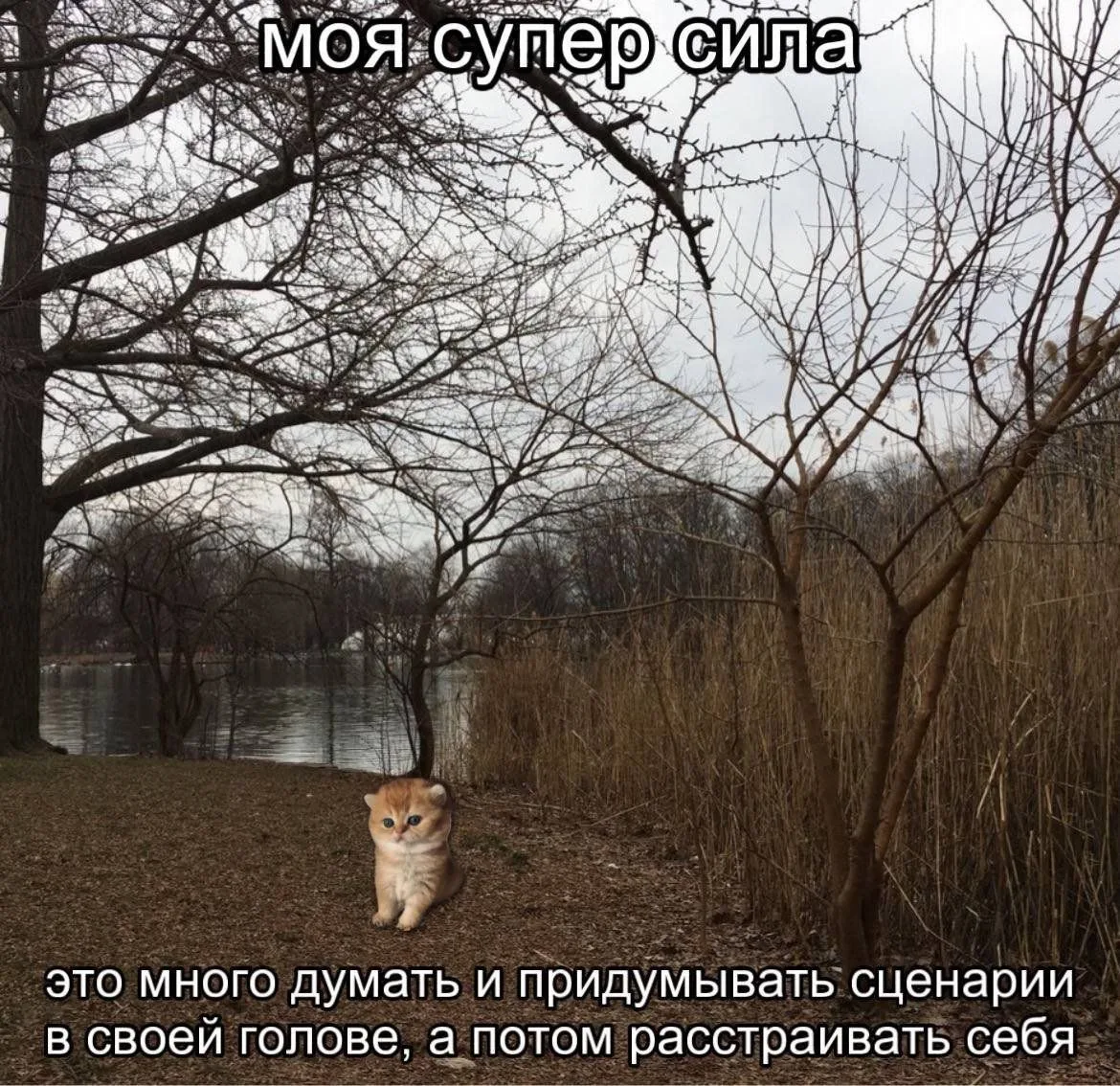 😵‍💫 Самокопание...