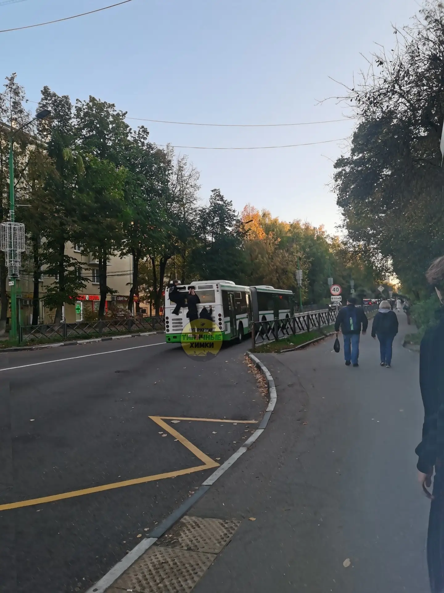 Это уже какой-то зомби апокалипсис 🤯