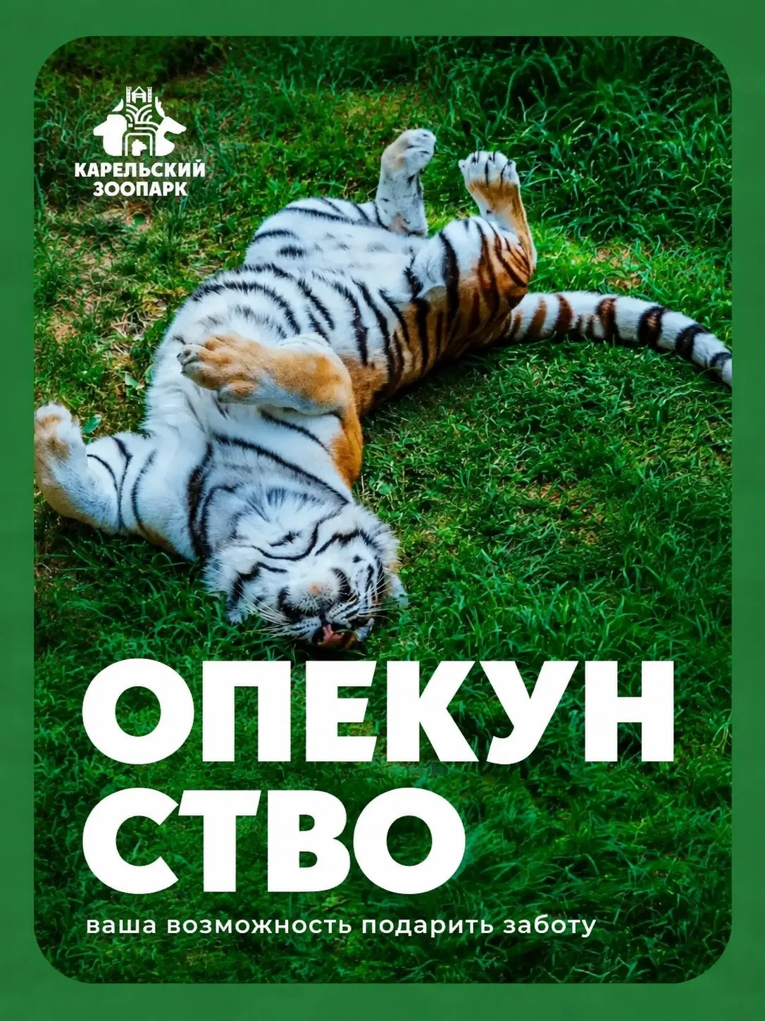 Дорогие друзья!