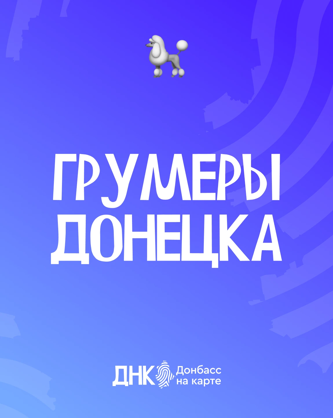 Красота нужна не только людям, но и нашим пушистым друзьям!