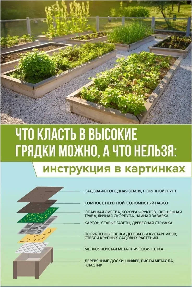 Секреты высоких грядок 🔥

Послойная инструкция по правильному заполнению короба: какие материалы ис