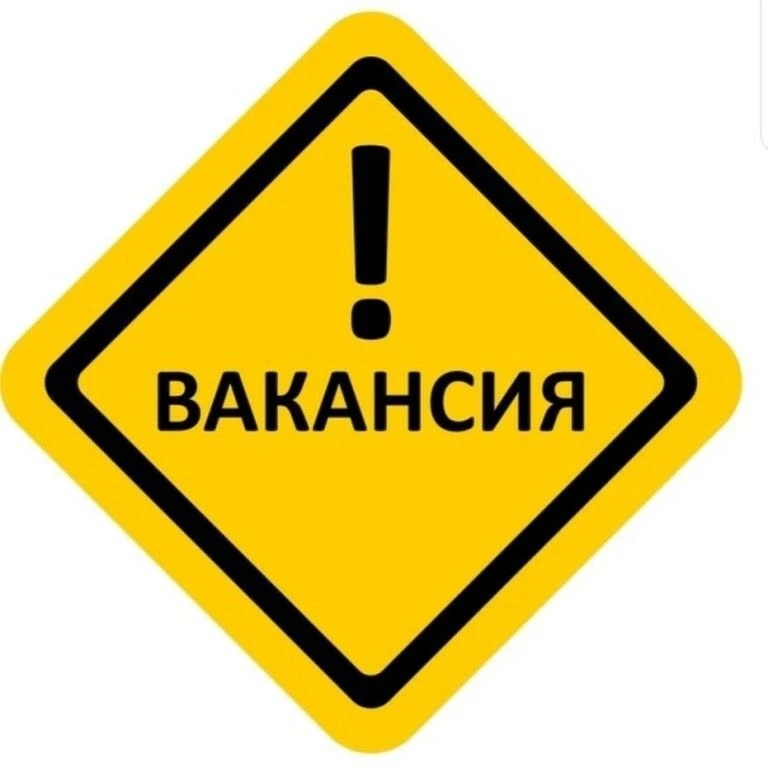 В МБОУ СШ с.Сенцово требуется учитель физики и математики. Нагрузка от 18 часов  + клас...