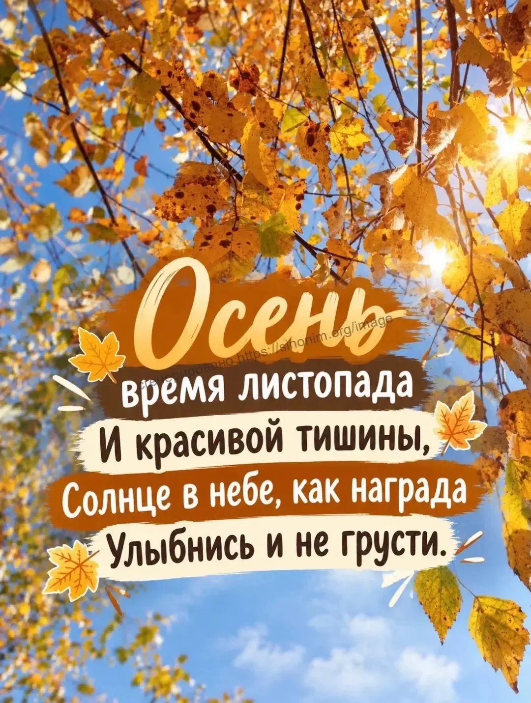 Октябрь — месяц прощания с теплом, но природа ещё радует