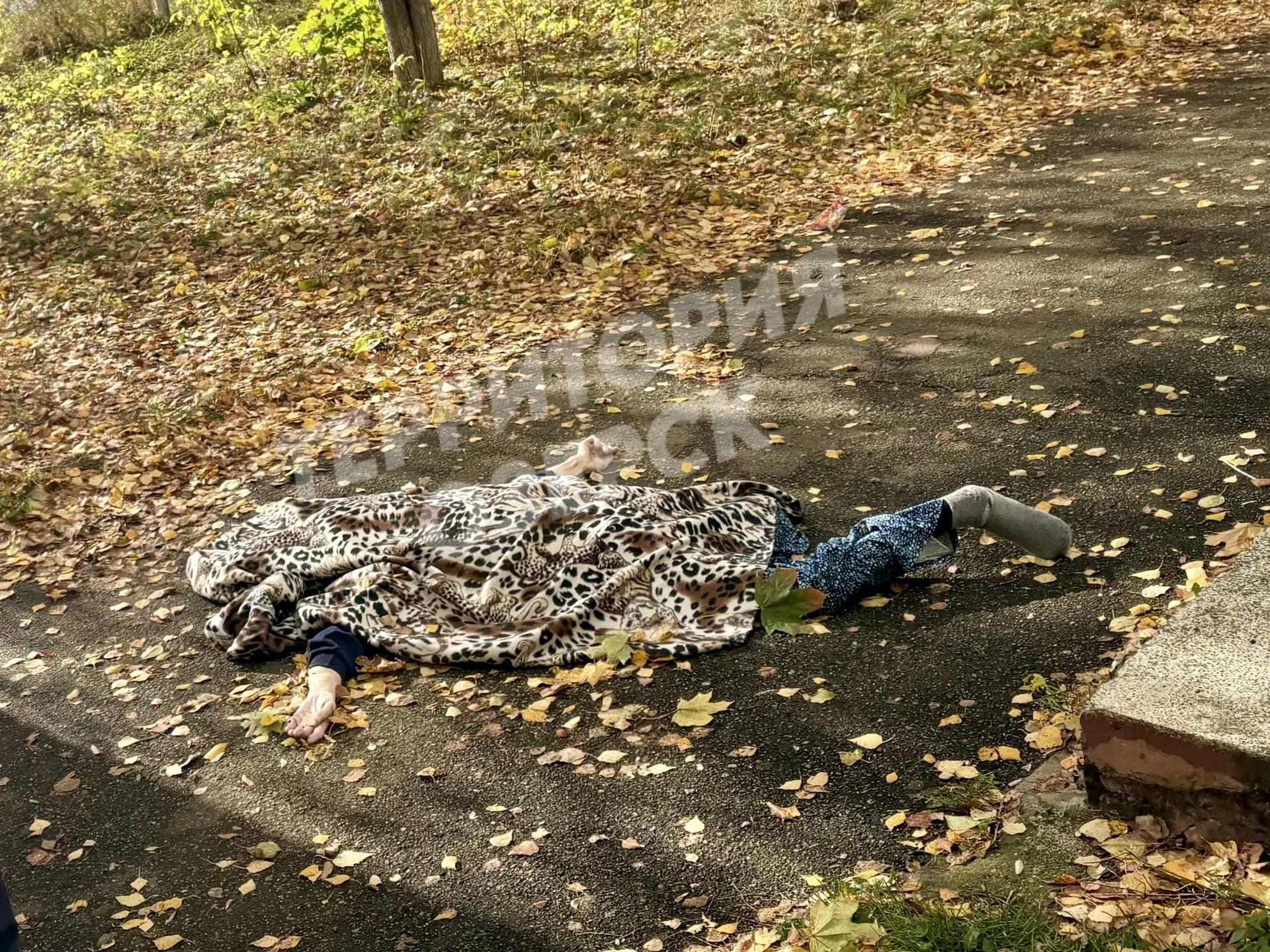 18 +. В Озерске под окнами дома нашли тело женщины