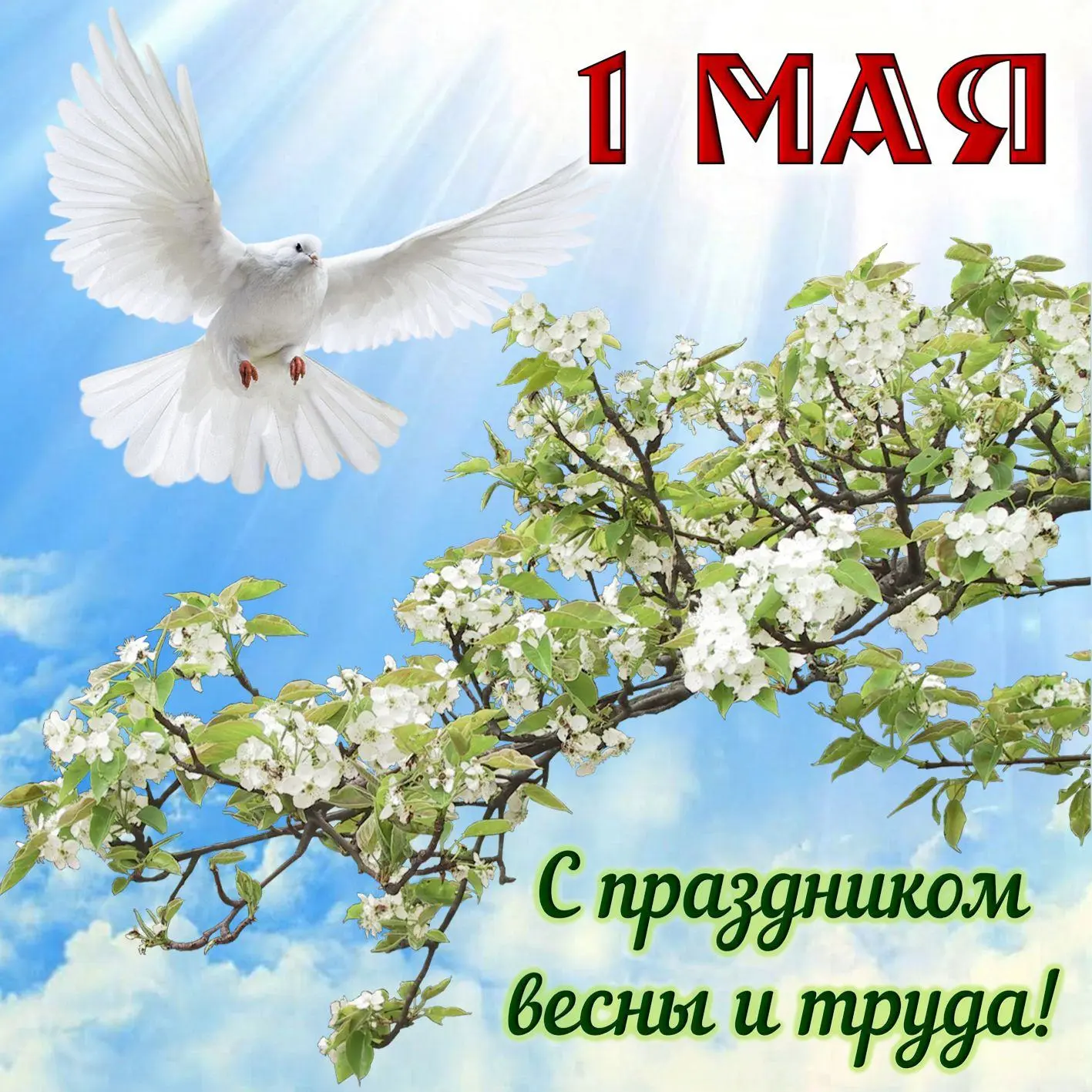Уважаемые жители!