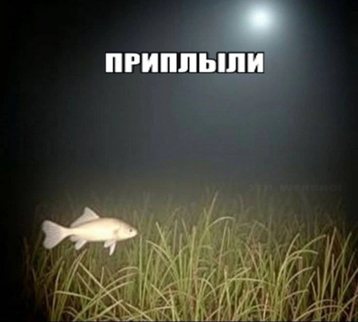 Доброе утро