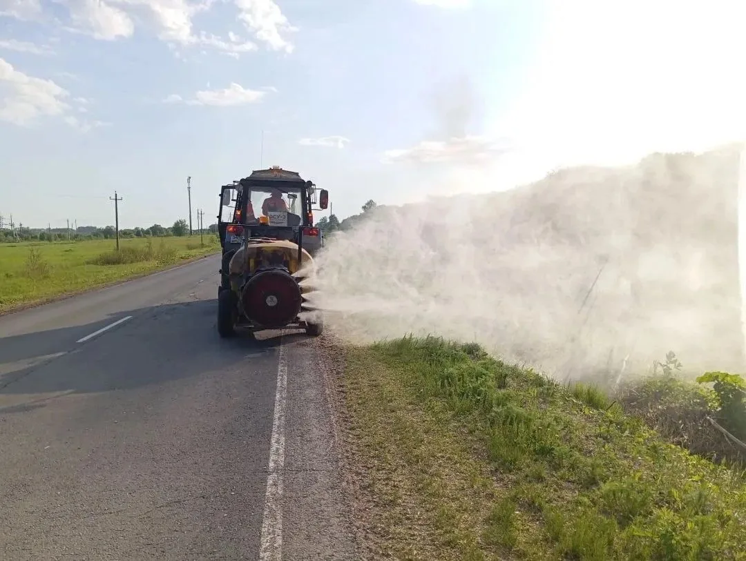 🌿 В этом сезоне в полосе отвода дорог Владимирской области от борщевика Сосновского и ...