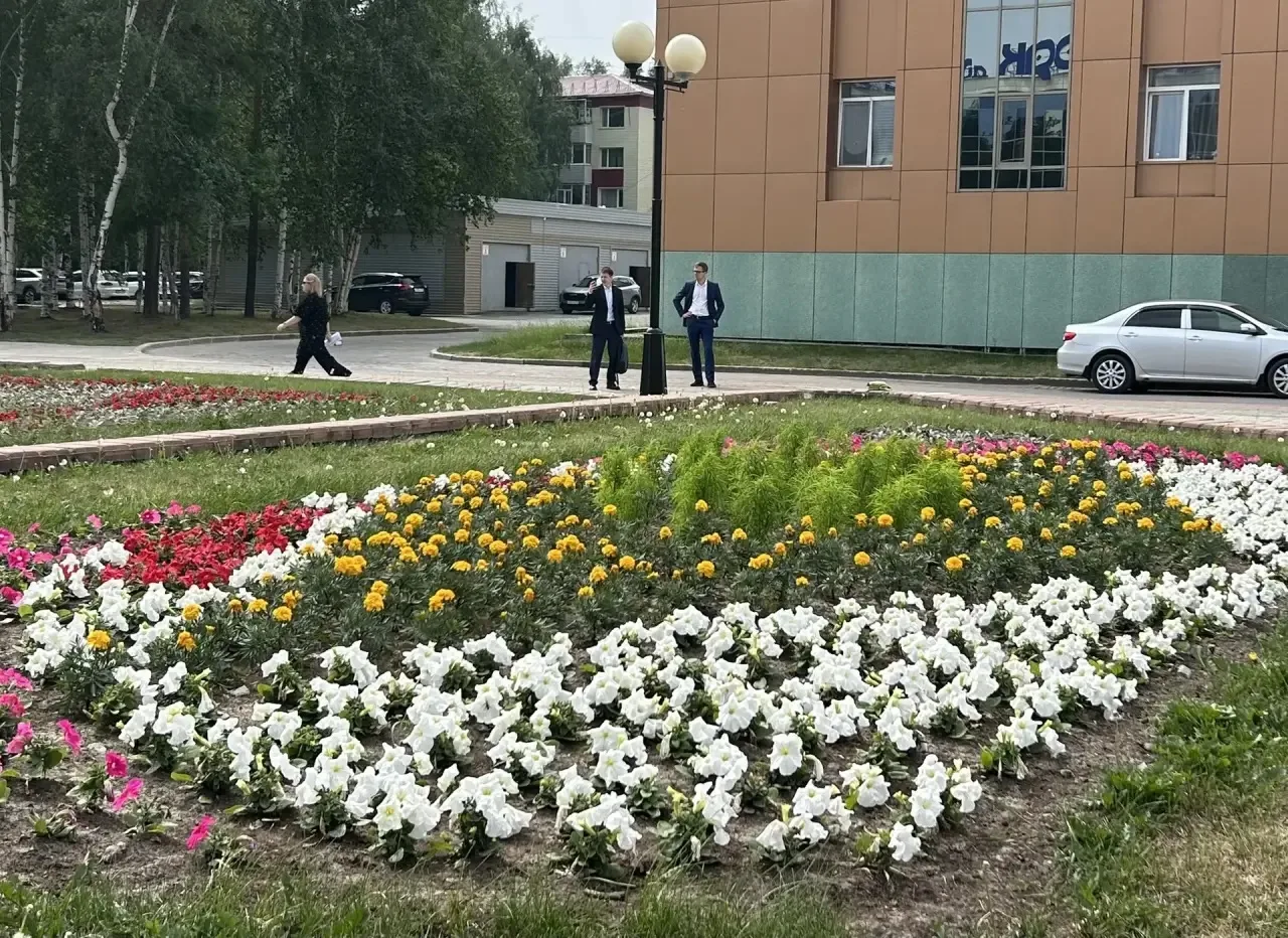 Город в красках лета

140 тысяч единиц цветочной рассады будут высажены в Нефтеюганске согласно закл