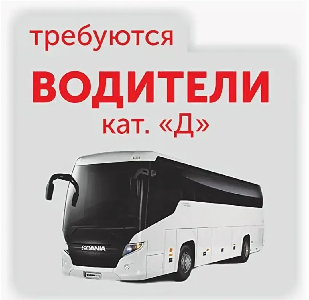 Водитель автобуса.