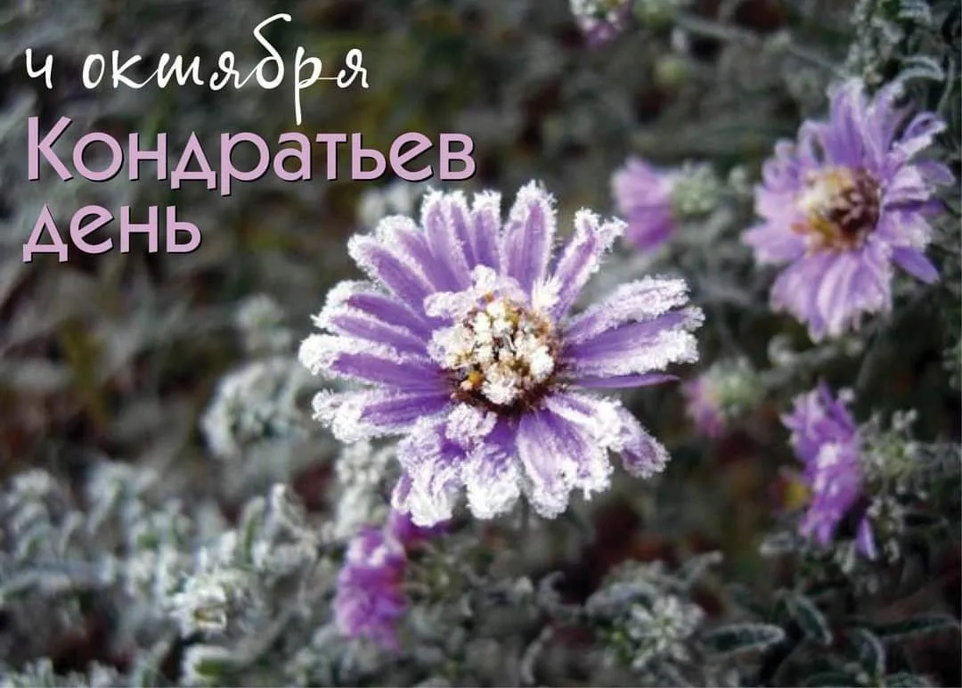 Народный календарь