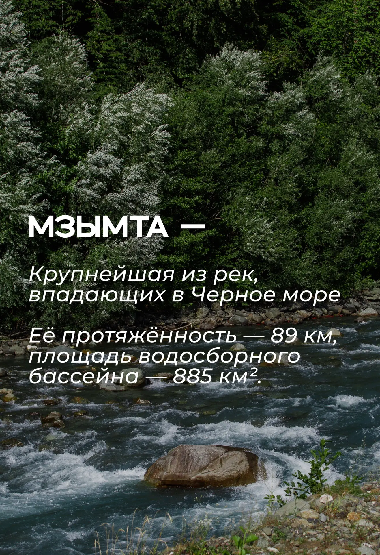🐦 Птицы долины реки Мзымты