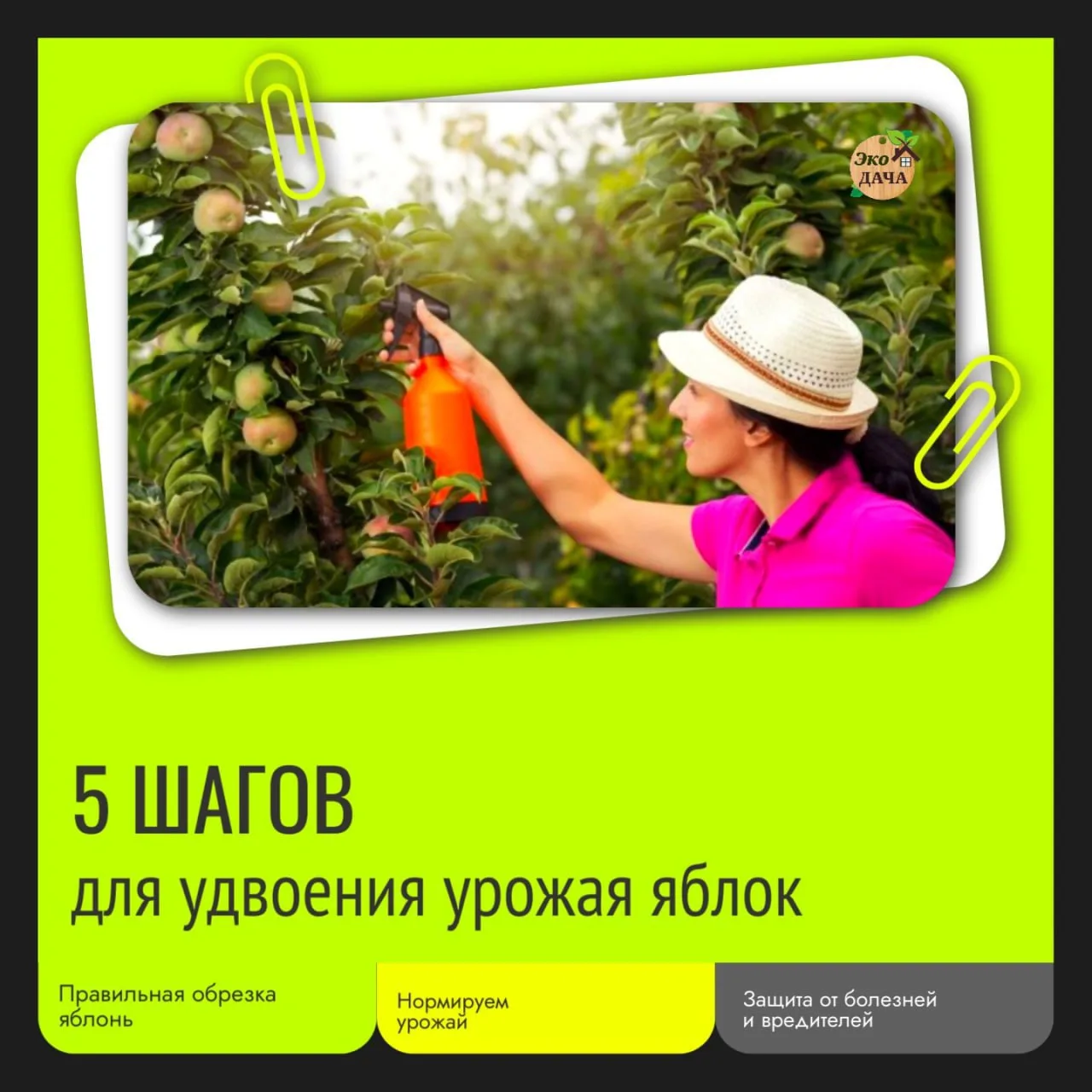 5 шагов для удвоения урожая яблок 🍏

Хотите больше яблок? Следуйте этим простым рекомендациям!

1️⃣