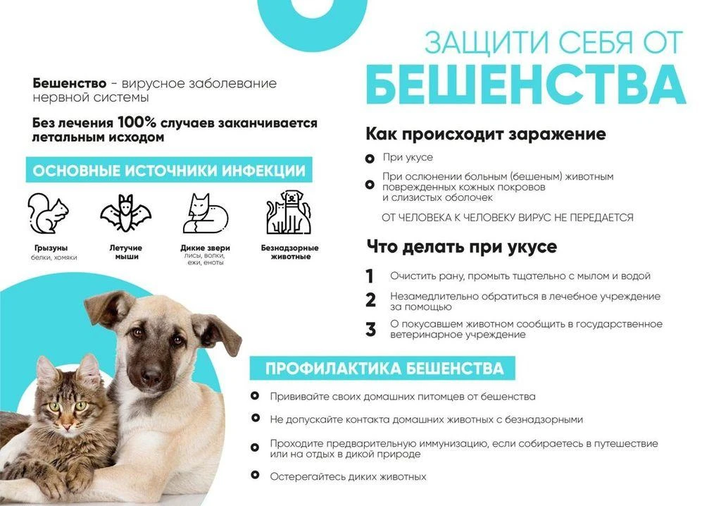 📢Бешенство — острое вирусное заболевание, которое поражает центральную нервную систему...
