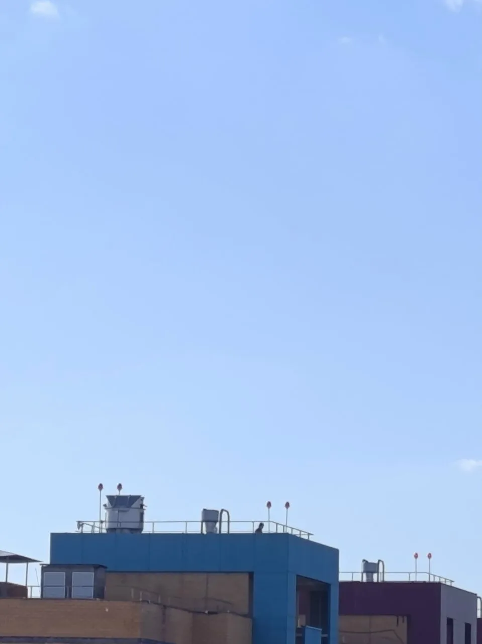 Пригородное шоссе 10, 1 подъезд, на крыше дети