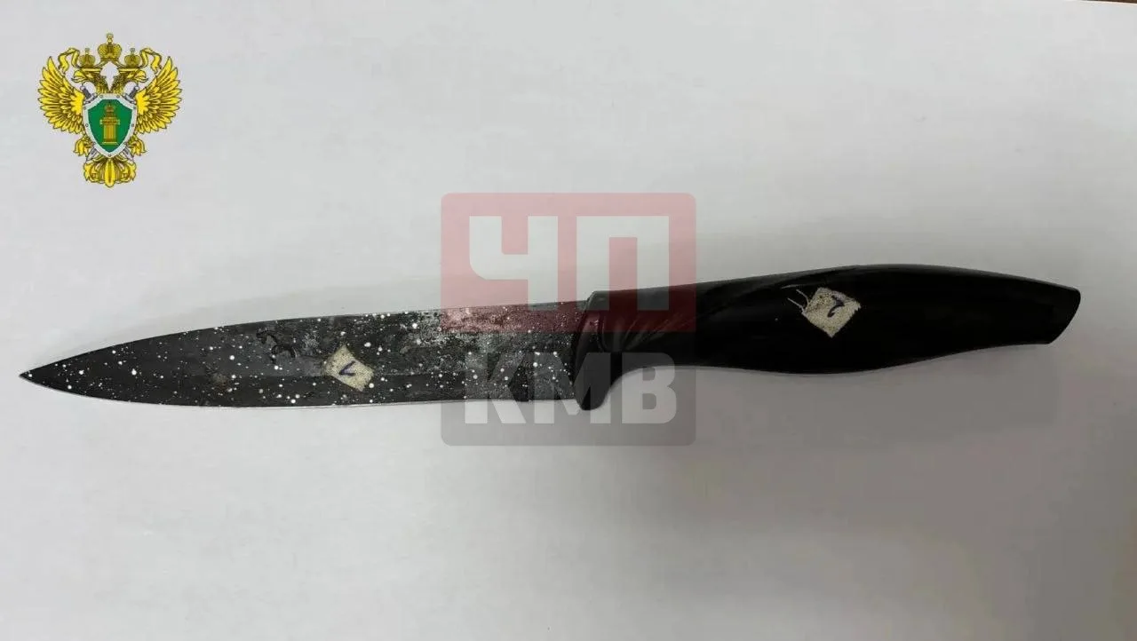 ⚠️ Жительницу Ставрополя приговорили к двум годам колонии за нападение с ножом.   В Ставрополе суд п