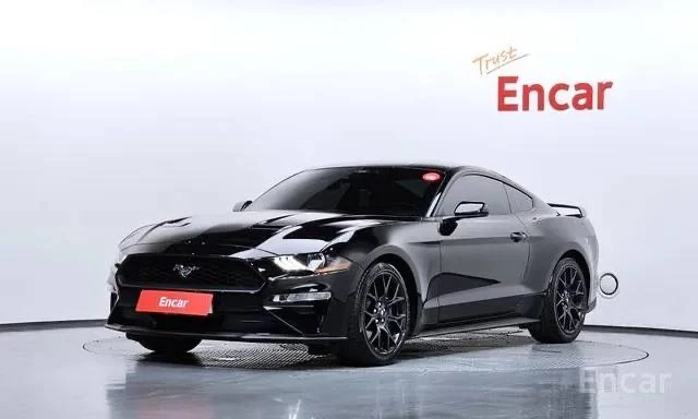 Авто из Кореи 🇰🇷| Ford Mustang Coupe
 
Дата регистрации: 2022/05
Двигатель: 2.3 Бензин | 310 л.с.
