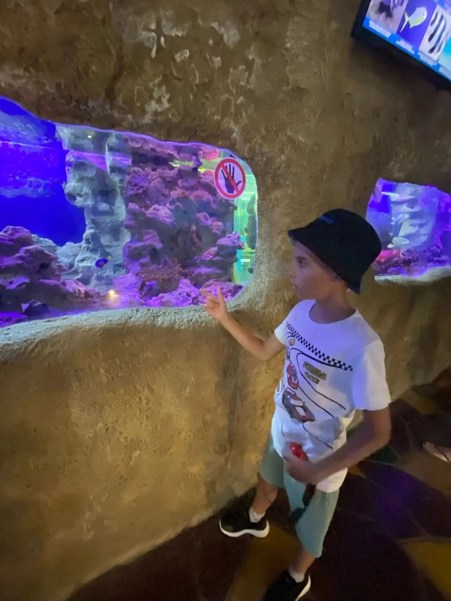 🐠 Наш фотомарафон школьных каникул продолжается! 📸✨