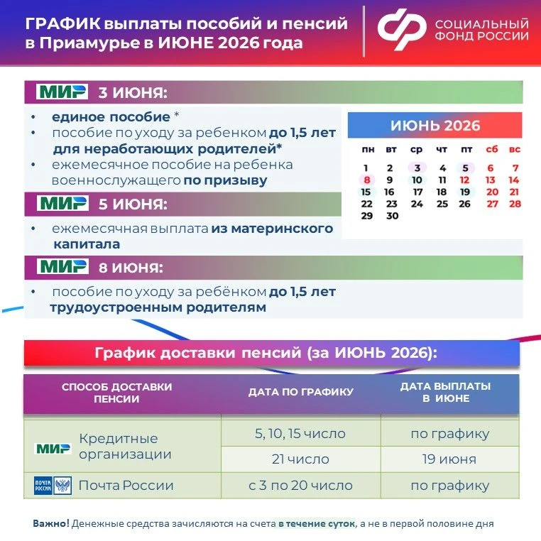 ‼ ГРАФИК ДОСТАВКИ выплат от Отделения СФР по Амурской области в ИЮНЕ 2026 года