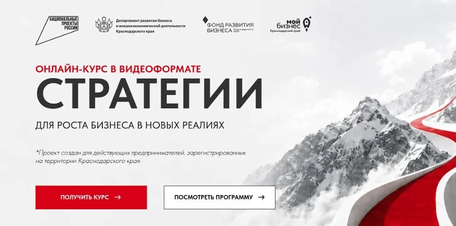 Иные консультационные услуги в целях содействия развитию деятельности субъектов малого ...