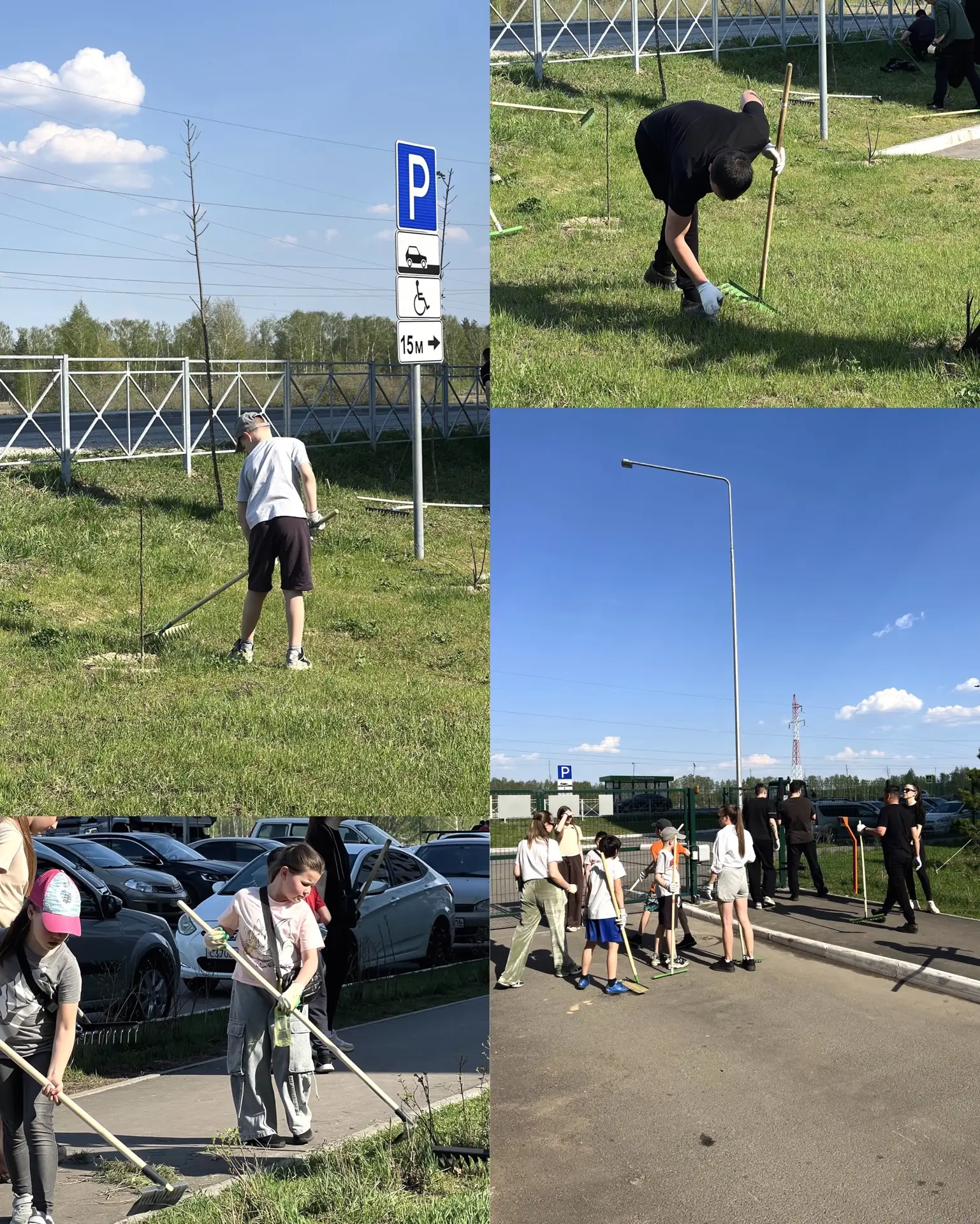 🌿 Вчера у нас прошёл субботник