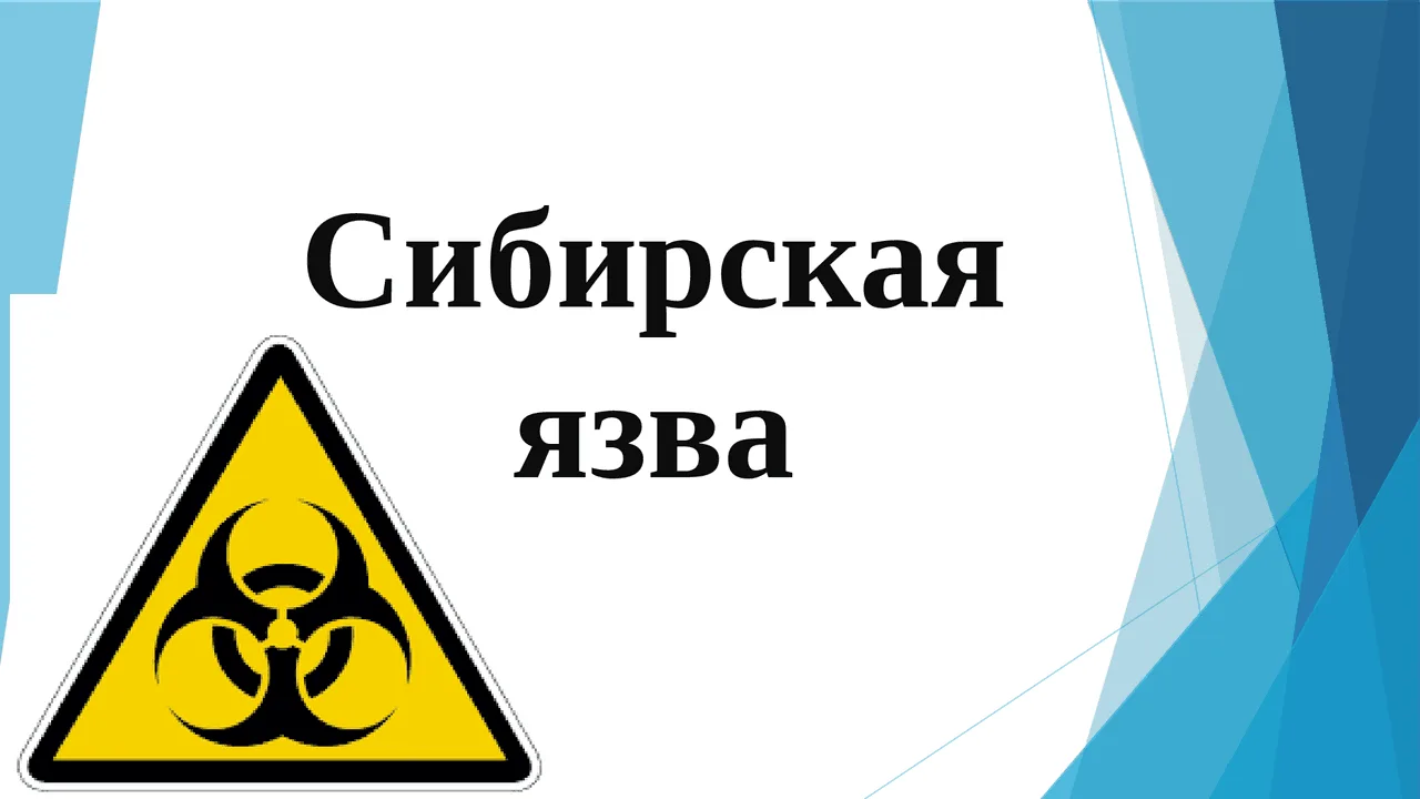 ❗ Что такое сибирская язва