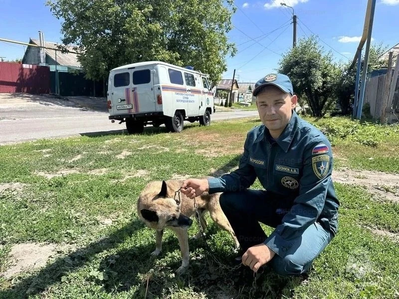 В Короче специалисты МЧС спасли упавшую в колодец собаку