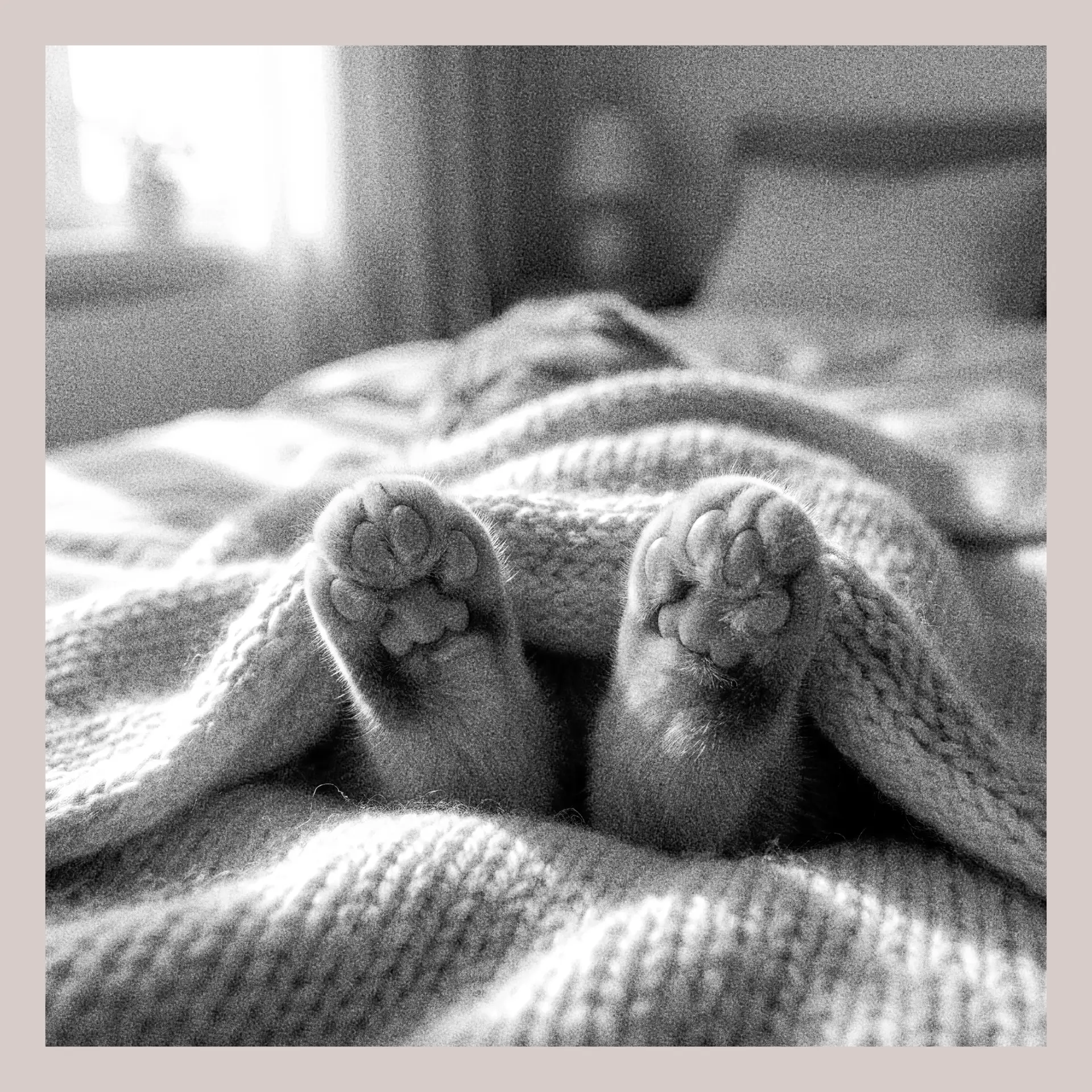 Доброе утро, котики! И удачного вам дня 🐈‍⬛