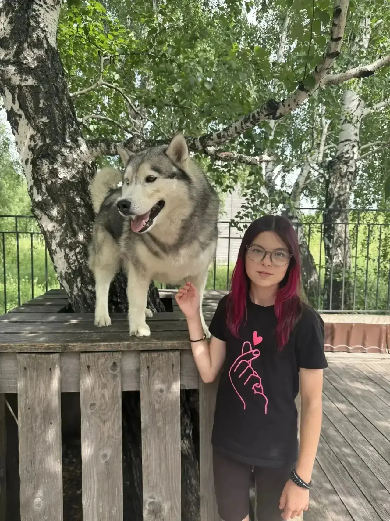 ☀️Лето с хаски
🐕Наша  ученица Виктория Старченкова решила не сидеть на месте и отправилась в увлека