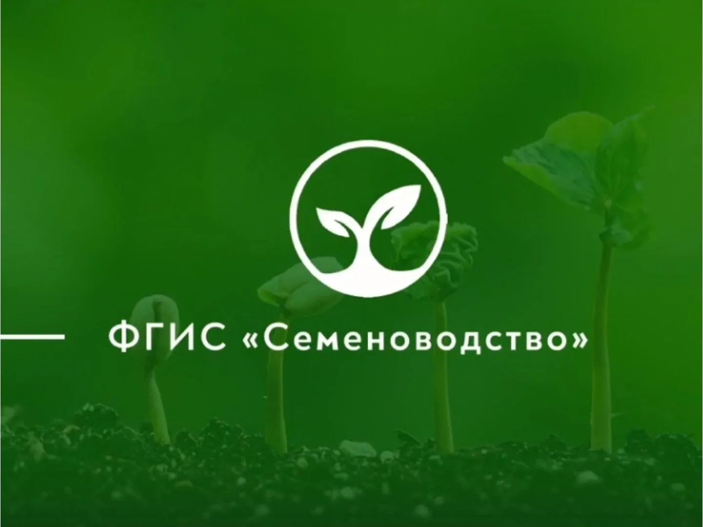 Нововведения в области семеноводства в 2026 году.