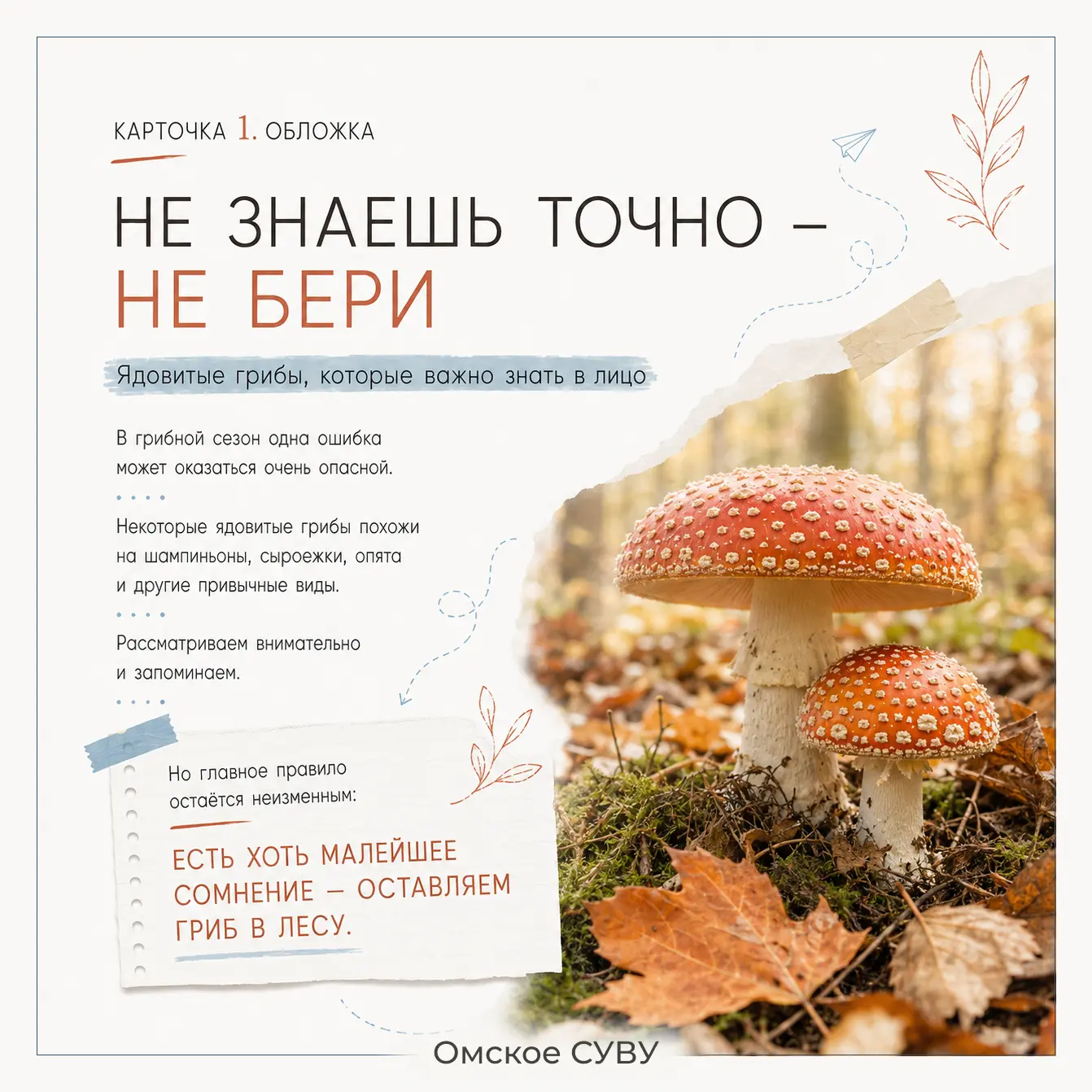 ⚠️ В лесу лучше пройти мимо, чем ошибиться.