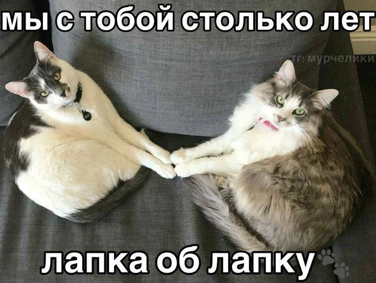 Доброе утро, кемеровчане!