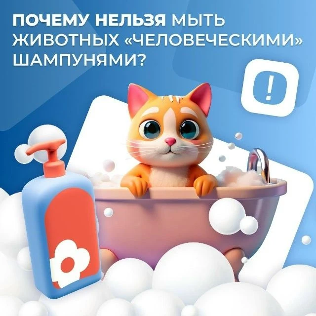 Использование «человеческих» шампуней для мытья животных может нанести им вред ️
Вот основные причин