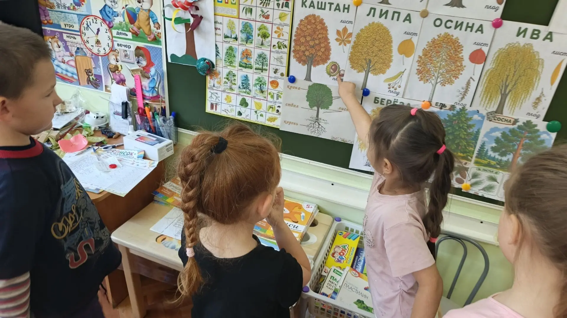 «Лесная неделя» в группе «Колокольчики»: от дуба до берёзы. 🌳🍁🌿