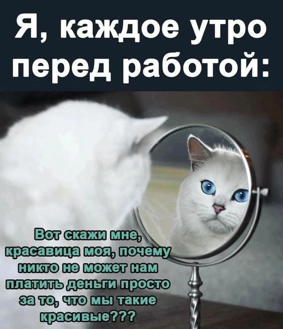 #доброеутро