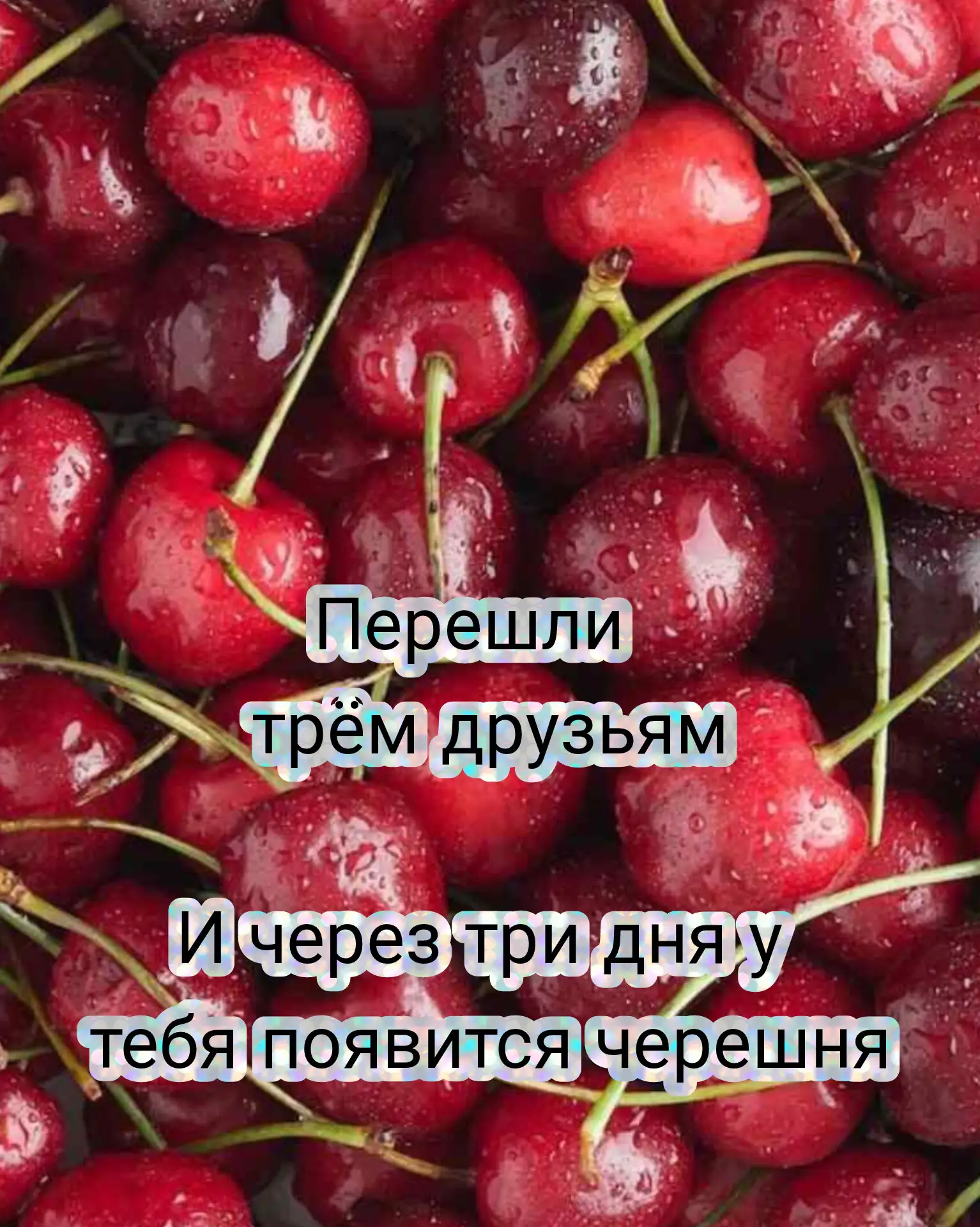 Готовьте черешнеприемники, сезон начинается. Уже ели черешню в этом году?