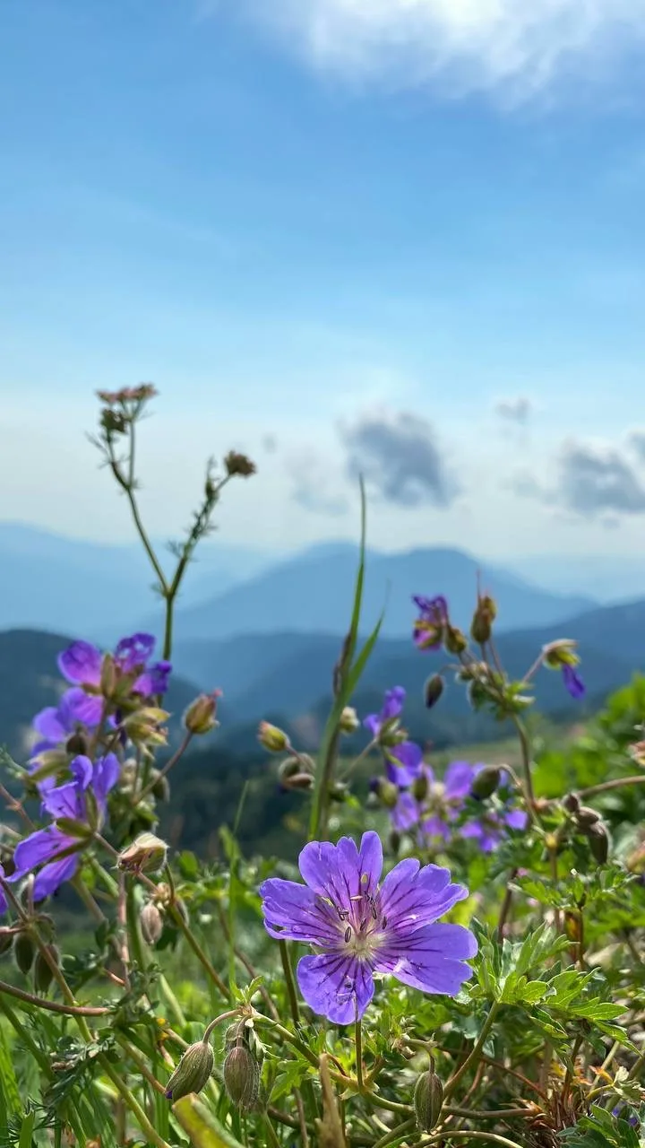 Наша страна невероятно богата природными красотами ⛰️ 

Где бы вы ни оказались — в горах, у озера, с