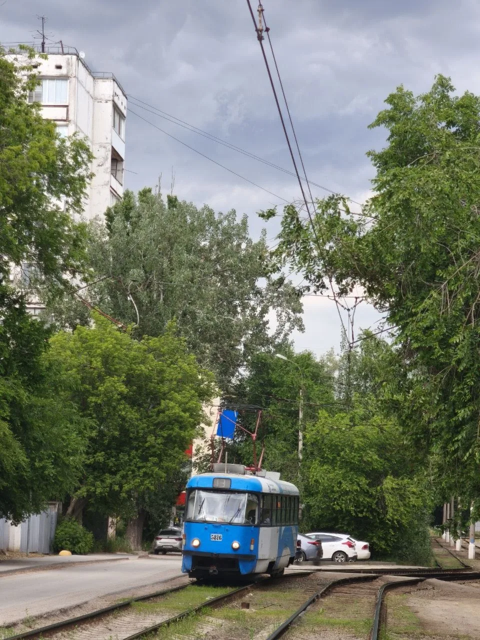 ⭐️ Доброе утро! 
День только начинается — самое время настроиться на что-то хорошее. 

Фото: Дмитрий