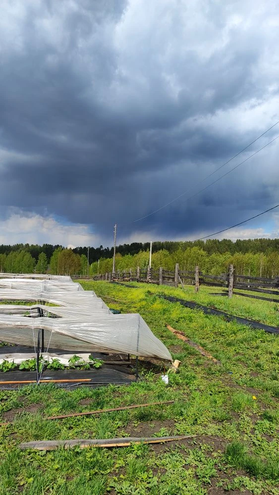 Всем привет 👋

Ох уж эта погода ☀⛅☁💧⚡
То дождь, со солнце, утром 1 июня было -0,7. А ветер такой с