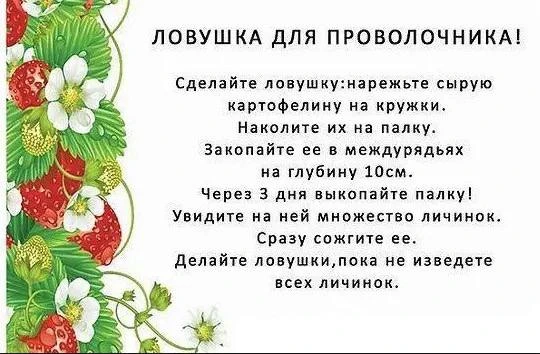 Очень действенный метод. Конечно трудоемко, но главное без химии.
