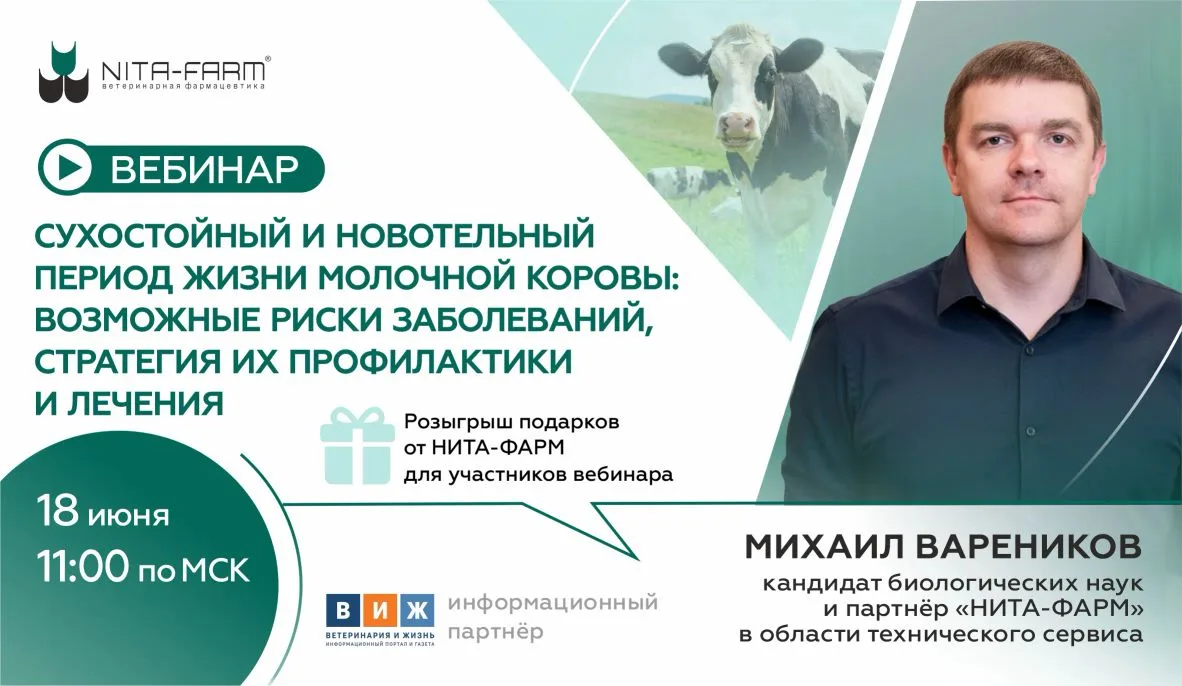 Вебинар: «Сухостойный и новотельный период жизни молочной коровы. Риски заболеваний. Ст...