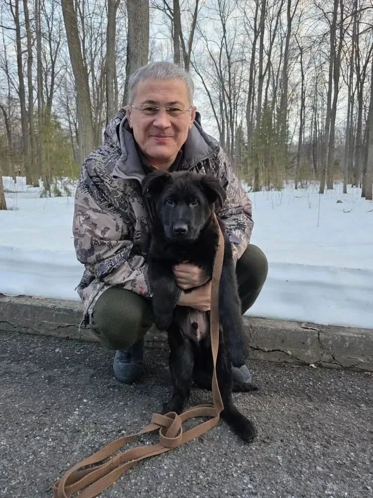 🐕Глава Башкирии Радий Хабиров поделился фото со своим питомцем – немецкой овчаркой, ко...
