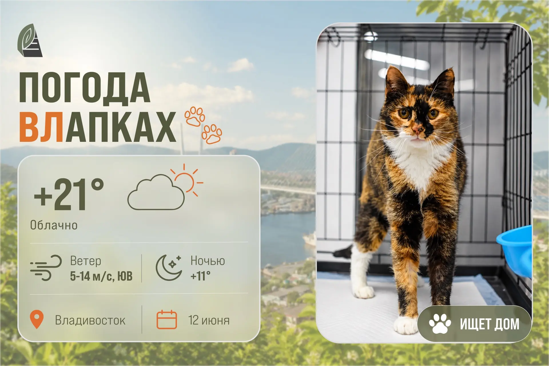 #ПогодаВЛапках

🌥️ Облачно.

В прогнозе – трёхцветное чудо с большим сердцем! Марусе 3 года. Она сп