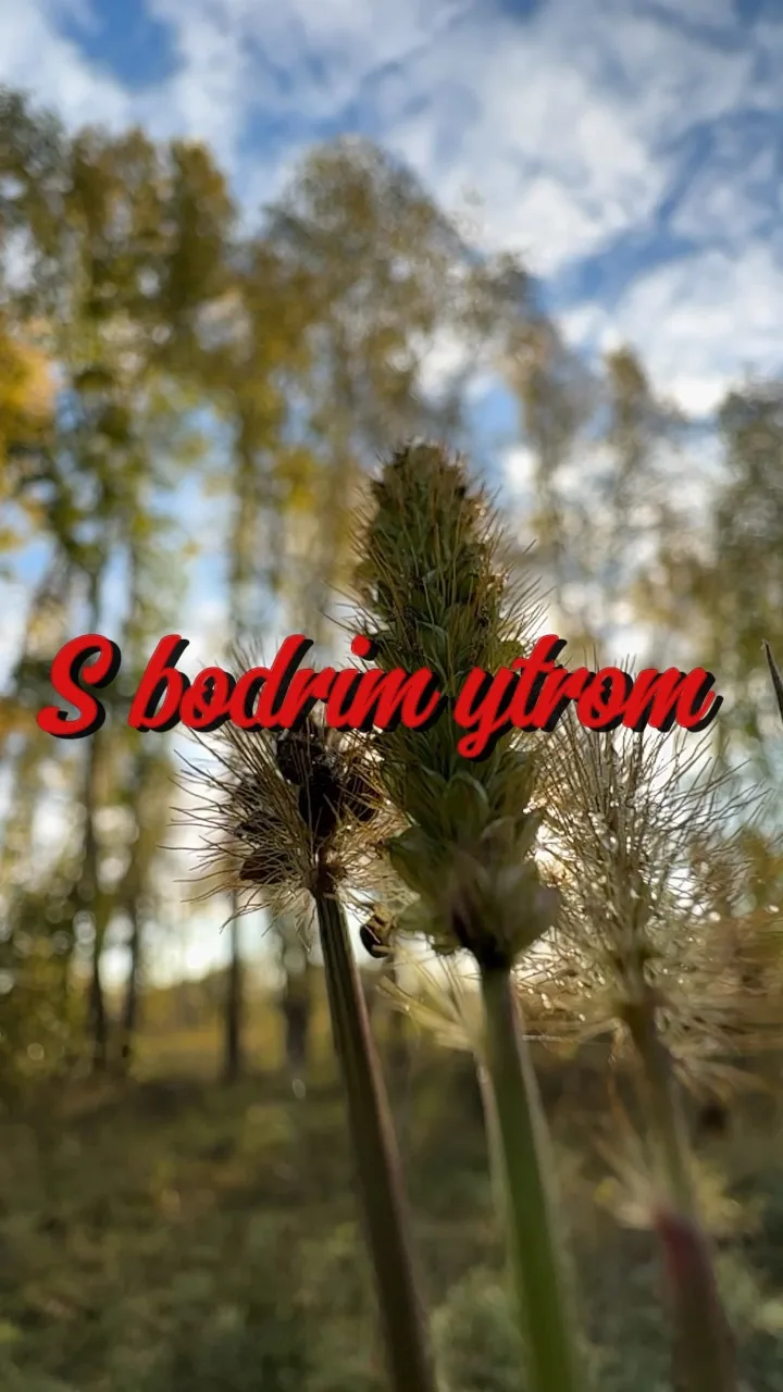 С бодрым утром друзья.