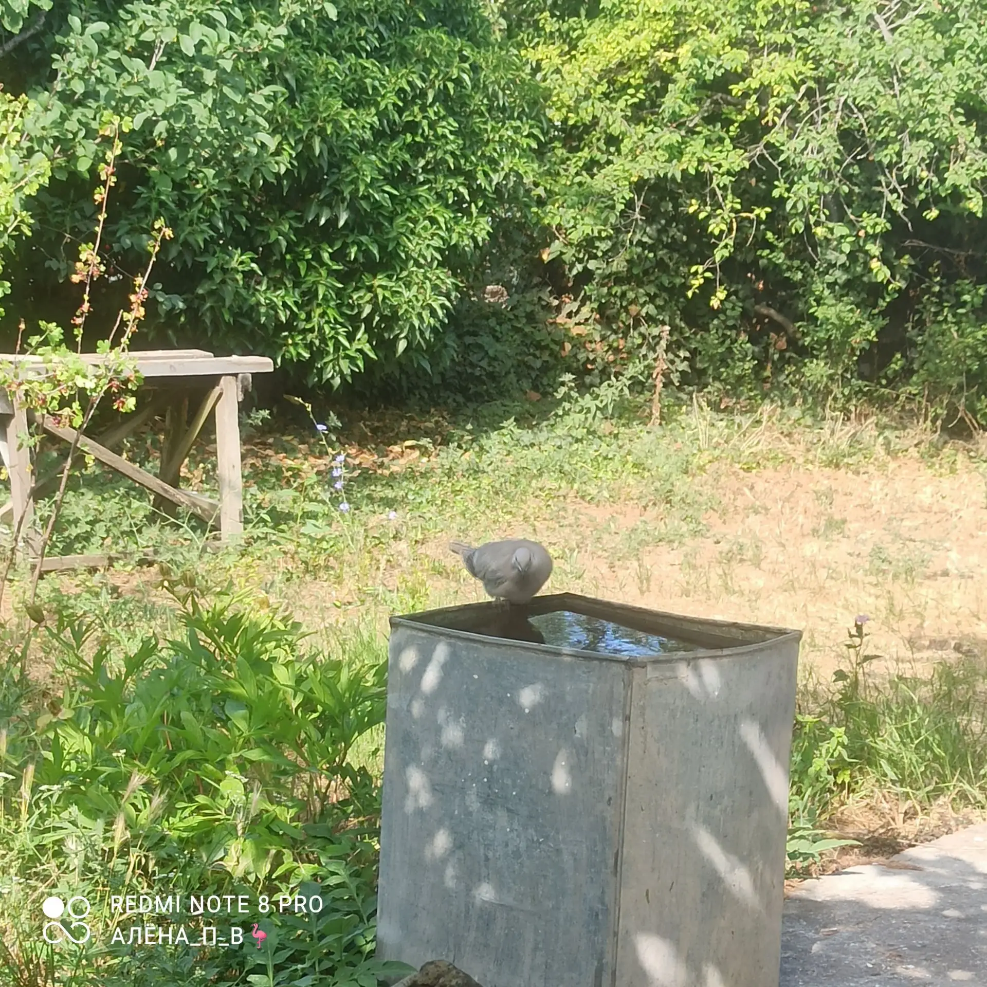 История одного бака, 🤣 или вода 💧- источник жизни